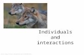 Individuals and interactions