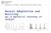 Department of Economics / Computational Neuroeconomics Group Neural Adaptation and Bursting or: A dynamical taxonomy of neurons April 27 th, 2011 Lars.