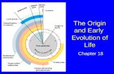 The Origin and Early Evolution of Life Chapter 18.