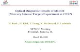 1 Optical Diagnostic Results of MERIT (Mercury Intense Target) Experiment at CERN H. Park, H. Kirk, T.Tsang, K. McDonald, F. Ladeinde NFMCC Meeting Fermilab,