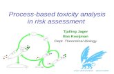 Process-based toxicity analysis in risk assessment Tjalling Jager Bas Kooijman Dept. Theoretical Biology.