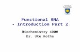 Functional RNA - Introduction Part 2 Biochemistry 4000 Dr. Ute Kothe.