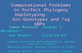 Computational Problems in Perfect Phylogeny Haplotyping: Xor-Genotypes and Tag SNPs Tamar Barzuza 1 Jacques S. Beckmann 2,3 Ron Shamir 4 Itsik Pe’er 5.