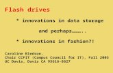 Flash drives * innovations in data storage and perhaps……….. * innovations in fashion?! Caroline Bledsoe, Chair CCFIT (Campus Council for IT), Fall 2005.