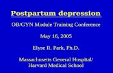 Postpartum depression OB/GYN Module Training Conference May 16, 2005 Elyse R. Park, Ph.D. Massachusetts General Hospital/ Harvard Medical School.