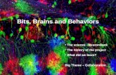 Bits, Brains and Behaviors The science - NeuronBank The history of the project What did we learn? Big Theme – Collaboration.