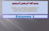 Enzymes are biological catalysts Enzymes are proteins that:  Increase the rate of reaction by lowering the energy of activation.  Catalyze nearly all.