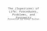 The (Supertree) of Life: Procedures, Problems, and Prospects Presented by Usman Roshan.