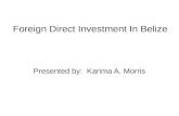 Foreign Direct Investment In Belize Presented by: Karima A. Morris.
