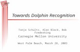 Tanja Schultz, Alan Black, Bob Frederking Carnegie Mellon University West Palm Beach, March 28, 2003 Towards Dolphin Recognition.