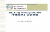 1 Writing Undergraduate Programme Outcomes Dr Ciara O’Farrell.