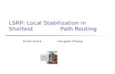 LSRP: Local Stabilization in Shortest Path Routing Anish Arora Hongwei Zhang.