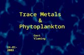 Trace Metals & Phytoplankton Gert Vlaming 24-01-2003.