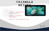 T RIANGLE M ESHES Part 1: Constrained Triangulations Part 2: Delaunay Refinement Part 3: Local Feature Size 1 BY I LYA B ITLER.