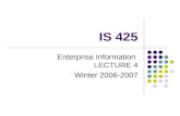 IS 425 Enterprise Information LECTURE 4 Winter 2006-2007.