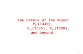 1 The nature of the Roper P 11 (1440), S 11 (1535), D 13 (1520), and beyond.