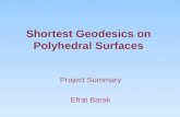Shortest Geodesics on Polyhedral Surfaces Project Summary Efrat Barak.