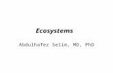 Ecosystems Abdulhafez Selim, MD, PhD. Ecosystem Organisms + Physical environment = Ecosystem Earth  The organisms living in a particular area, together.