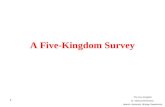 1 A Five-Kingdom Survey The Five Kingdom Dr. Abboud ElKichaoui Islamic University- Biology Department.