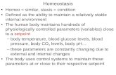 Homeostasis Homeo = similar, stasis = condition Defined as the ability to maintain a relatively stable internal environment The human body maintains hundreds.