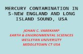 MERCURY CONTAMINATION IN S-NEW ENGLAND AND LONG ISLAND SOUND, USA JOHAN C. VAREKAMP EARTH & ENVIRONMENTAL SCIENCES WESLEYAN UNIVERSITY MIDDLETOWN CT USA.