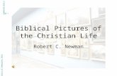 Biblical Pictures of the Christian Life Robert C. Newman Abstracts of Powerpoint Talks - newmanlib.ibri.org -newmanlib.ibri.org.