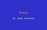 Ovary Dr. Raid Jastania. Ovary Salpingo-oophoritis Endometriosis Cysts –Follicle cyst –Luteal cyst –Common, 1-1.5 cm, clear fluid –May be palpable, cause.