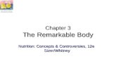 Chapter 3 The Remarkable Body Nutrition: Concepts & Controversies, 12e Sizer/Whitney.