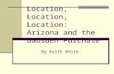 Location, Location, Location: Arizona and the Gadsden Purchase By Keith White.