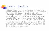 Heart Basics -Size, Force of Contraction, Amount of Blood Moved(Rest & Active) SV, Q Valves, SA Node, AV Node, Bundle of HIS, Purkinje Fibers, Intercalated.