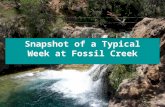 Snapshot of a Typical Week at Fossil Creek. Recent Accomplishments at Fossil Creek Installed 10 portable restrooms throughout the area Re-designed kiosk.