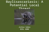 Baylisascariasis: A Potential Local Threat Joshua Sabey BIOL 4800.