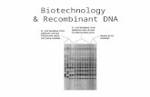 Biotechnology & Recombinant DNA. What is biotechnology?  Using living microorganisms or cell components to make products Often via genetic engineering.