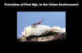Principles of Pest Mgt. in the Urban Environment.