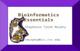 Bioinformatics Essentials Stephanie Tatem Murphy smurphy@bcc.ctc.edu.