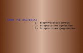 - GRAM +VE BACTERIA:- 1- Staphylococcus aureus 2- Streptococcus agalactiae 3- Streptococcus dysgalactiae.