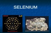 SELENIUM. 3 levels of biological activity: 1) Trace concentrations required for normal growth and development 2) Moderate concentrations can be stored.