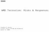 Stephen M. Maurer Science Policy PP190-01/PP290-01 April 13, 2006 WMD Terrorism: Risks & Responses.