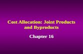 Cost Allocation: Joint Products and Byproducts Chapter 16.
