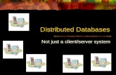 Distributed Databases Not just a client/server system.