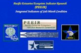 Integrated Indicators of Salt Marsh Condition Pacific Estuarine Ecosystem Indicator Research (PEEIR) EaGLe.