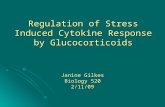 Regulation of Stress Induced Cytokine Response by Glucocorticoids Janine Gilkes Biology 520 2/11/09.