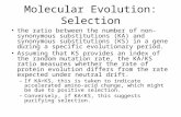 Molecular Evolution: Selection the ratio between the number of non- synonymous substitutions (KA) and synonymous substitutions (KS) in a gene during a.