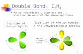 1 Double Bond: C 2 H 4 An sp 2 hybridized C atom has one electron in each of the three sp 2 lobes Top view of the sp 2 hybrid Side view of the sp 2 hybrid.