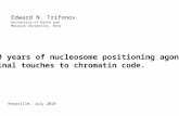 30 years of nucleosome positioning agony. Final touches to chromatin code. Edward N. Trifonov University of Haifa and Masaryk University, Brno Knoxville,