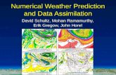 Numerical Weather Prediction and Data Assimilation David Schultz, Mohan Ramamurthy, Erik Gregow, John Horel.