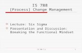IS 788 7.21 IS 788 [Process] Change Management  Lecture: Six Sigma  Presentation and Discussion: Breaking the Functional Mindset.