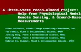 A Three-State Pecan-Almond Project: Help from Physiological Models, Remote Sensing, & Ground-Based Measurements Vince Gutschick, Global Change Consulting.