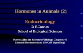 Hormones in Animals (2) Endocrinology D R Davies School of Biological Sciences Purves Life: the Science of Biology Chapters 41 (Animal Hormones) and 15.
