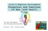 Local & Regional Development Formation and Function of New (and Small) Firms Lecturer: Prof. Gunther Maier By Ania Dachowska and Philipp Hollenstein.